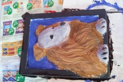 IMG-20240819-WA0015