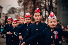 fot-43