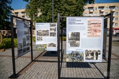 fot-10