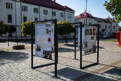 fot-30
