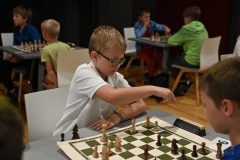 fot-20