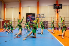 fot-22