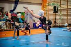 fot-21