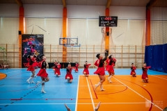 fot-20