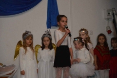 phoca_thumb_l_image001