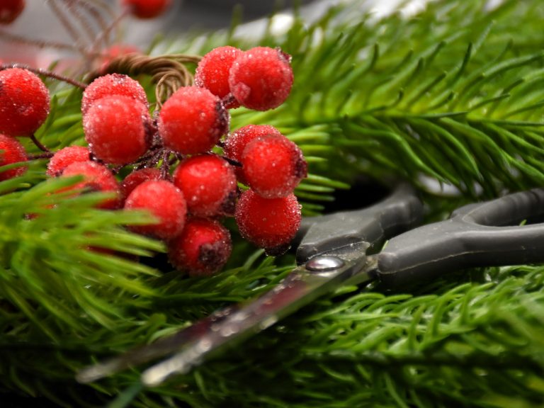 Rodzinny Kolektyw w NCHiT- relacja.